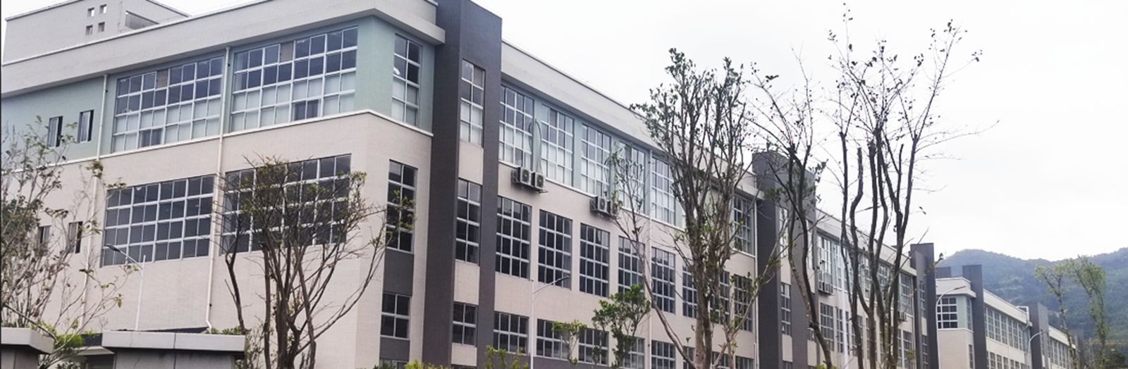 Barras de carburo de cimento